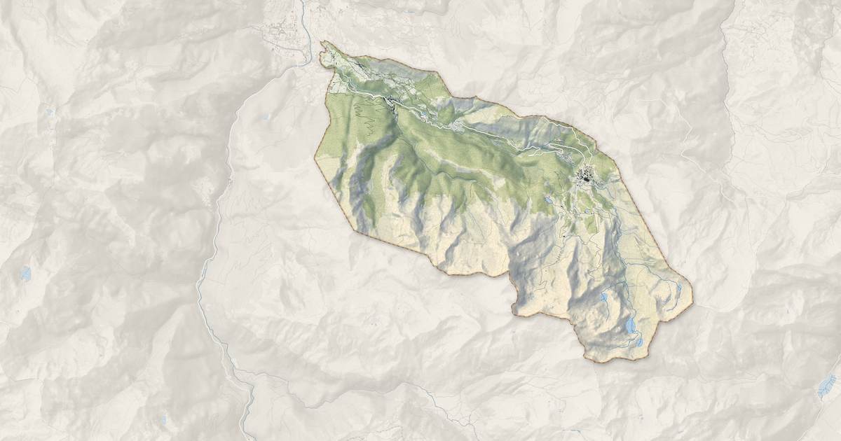 Portrait cartographique de Eaux-Bonnes : relief, eau, forêts, bâti et voies, calculés à partir des données de l'IGN