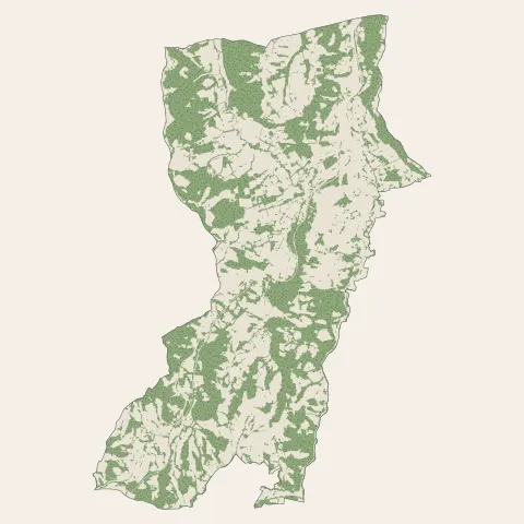 Gan : bois, forêts et landes