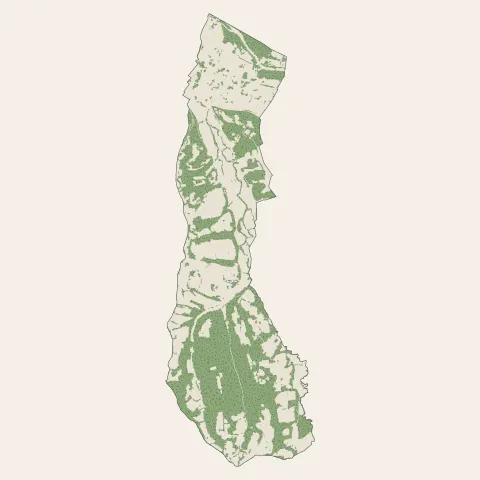 Gelos : bois, forêts et landes