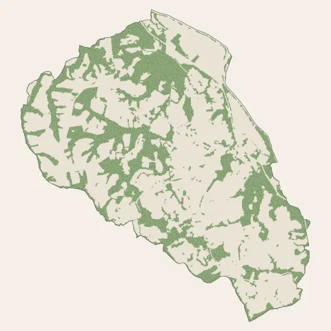Larressore : bois, forêts et landes