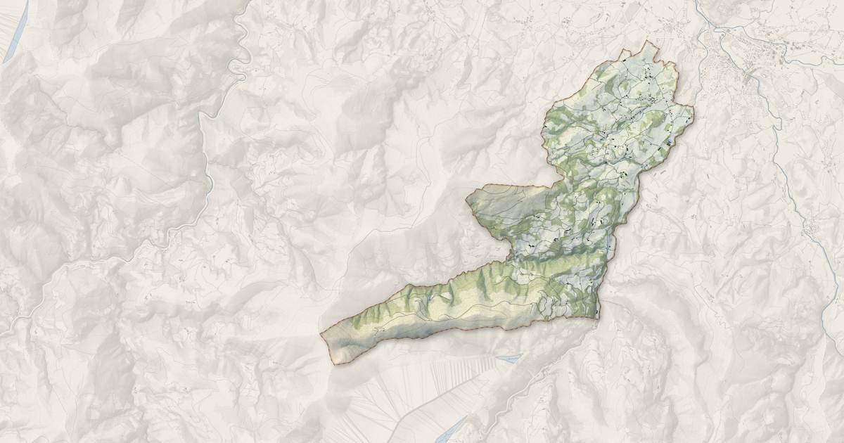 Portrait cartographique de Lasse : relief, eau, forêts, bâti et voies, calculés à partir des données de l'IGN