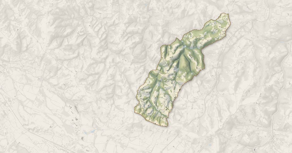 Portrait cartographique de Lasseubetat : relief, eau, forêts, bâti et voies, calculés à partir des données de l'IGN