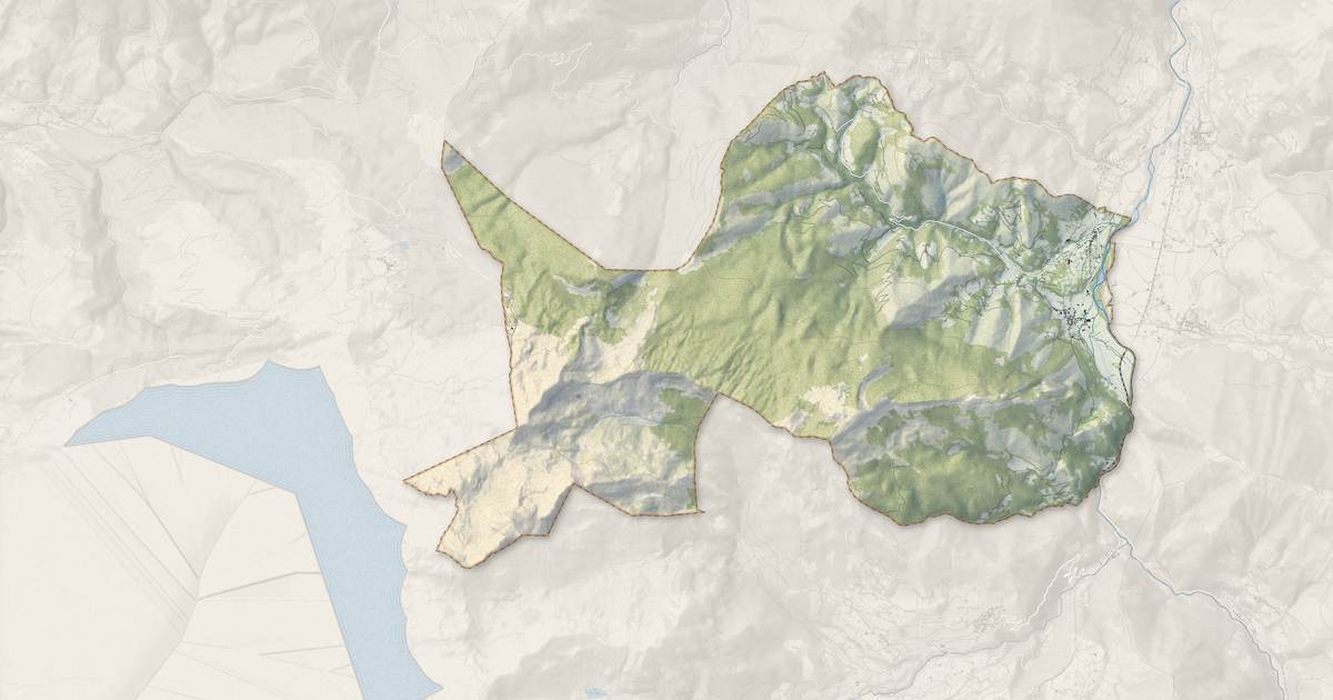 Portrait cartographique de Lées-Athas : relief, eau, forêts, bâti et voies, calculés à partir des données de l'IGN