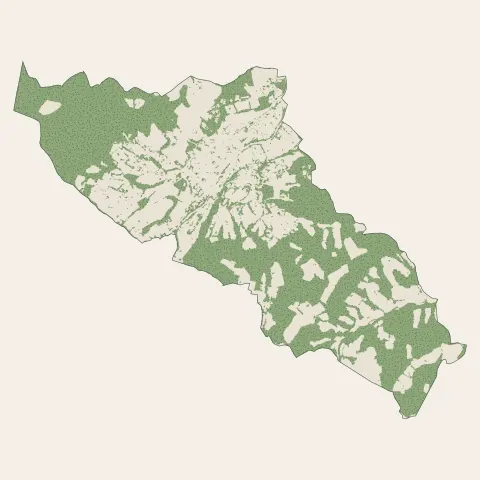 Mauléon-Licharre : bois, forêts et landes