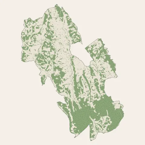 Monein : bois, forêts et landes