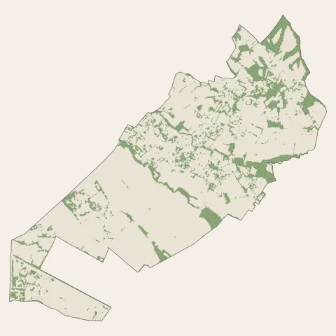 Montardon : bois, forêts et landes