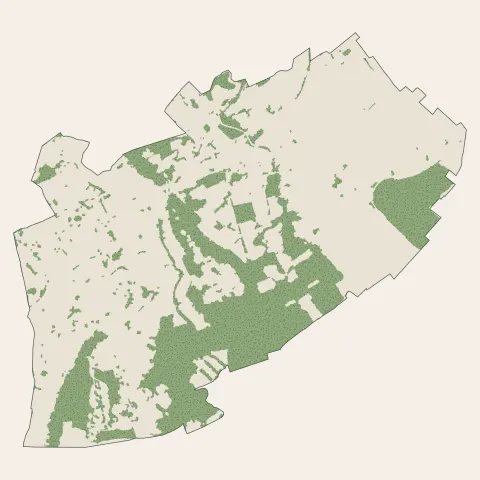 Mourenx : bois, forêts et landes