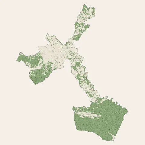 Oloron-Sainte-Marie : bois, forêts et landes