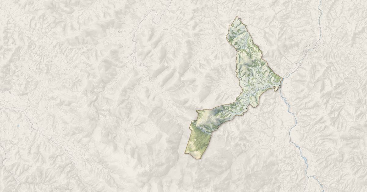 Portrait cartographique de Ordiarp : relief, eau, forêts, bâti et voies, calculés à partir des données de l'IGN