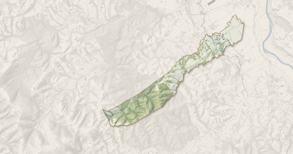 Portrait cartographique de Saint-Goin : relief, eau, forêts, bâti et voies, calculés à partir des données de l'IGN