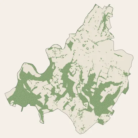 Saint-Palais : bois, forêts et landes