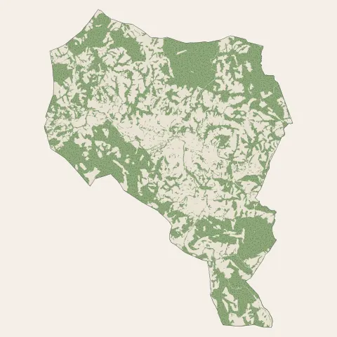 Saint-Pée-sur-Nivelle : bois, forêts et landes
