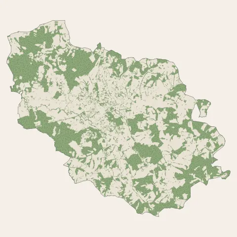 Salies-de-Béarn : bois, forêts et landes