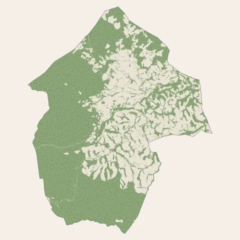 Sare : bois, forêts et landes