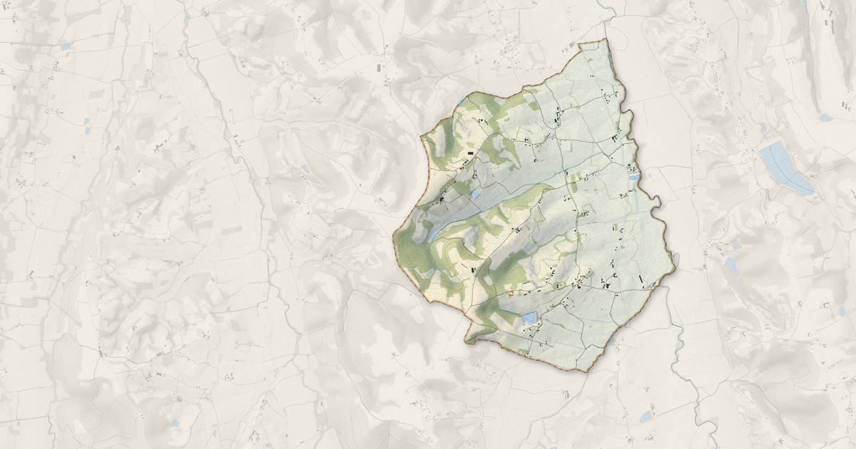 Portrait cartographique de Vialer : relief, eau, forêts, bâti et voies, calculés à partir des données de l'IGN