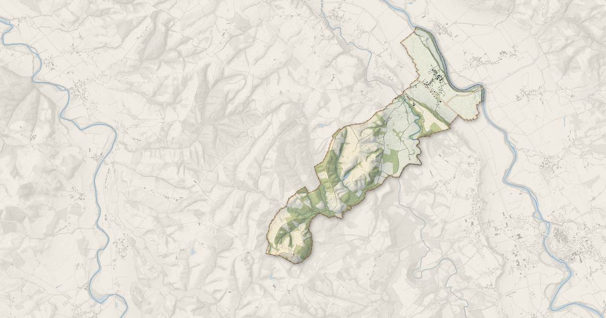 Portrait cartographique de Viellenave-de-Navarrenx : relief, eau, forêts, bâti et voies, calculés à partir des données de l'IGN
