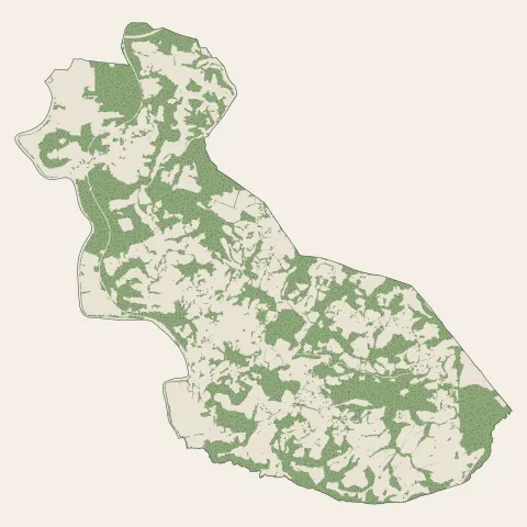 Villefranque : bois, forêts et landes
