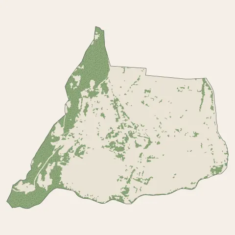 Argelès-Gazost : bois, forêts et landes