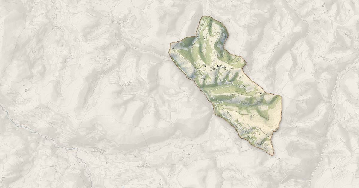 Portrait cartographique de Arrodets-ez-Angles : relief, eau, forêts, bâti et voies, calculés à partir des données de l'IGN