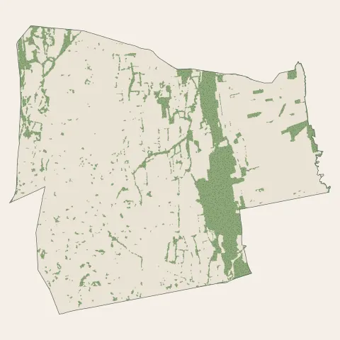 Aureilhan : bois, forêts et landes