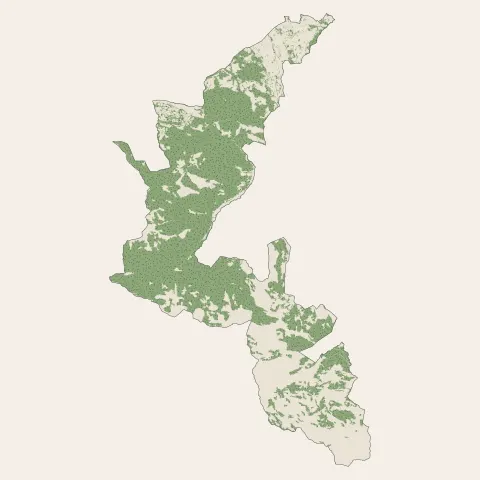 Bagnères-de-Bigorre : bois, forêts et landes