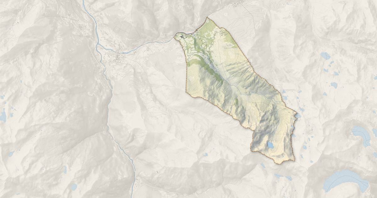 Portrait cartographique de Betpouey : relief, eau, forêts, bâti et voies, calculés à partir des données de l'IGN