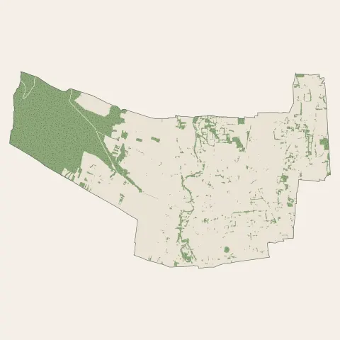 Bordères-sur-l'Échez : bois, forêts et landes