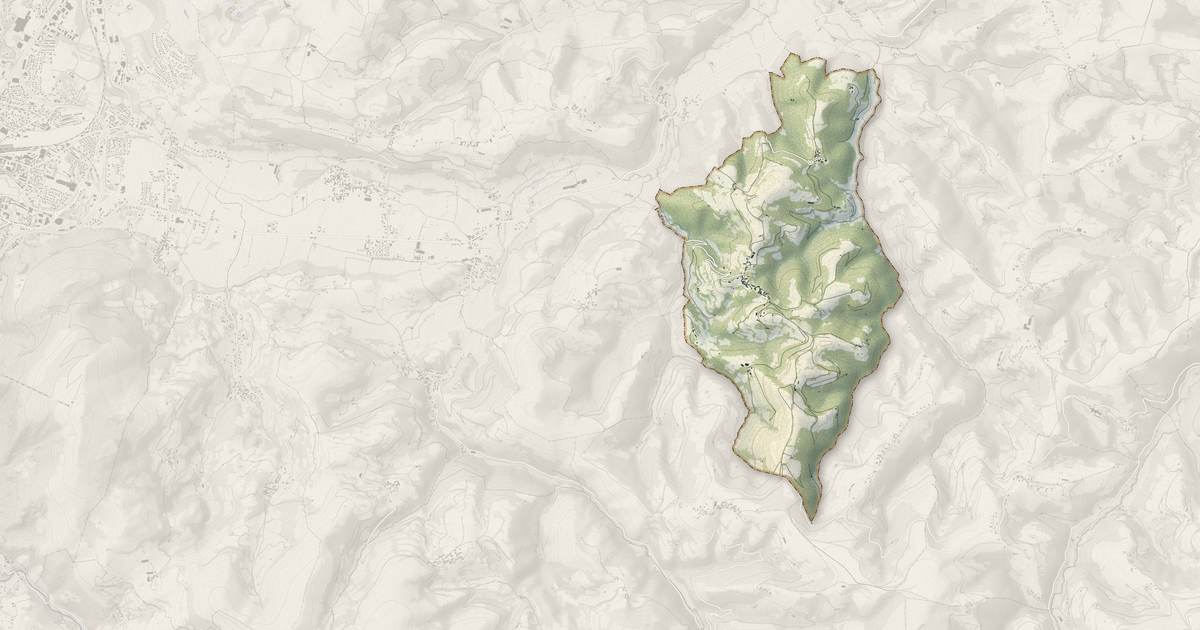Portrait cartographique de Arrayou-Lahitte : relief, eau, forêts, bâti et voies, calculés à partir des données de l'IGN