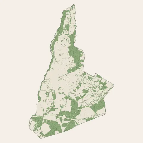 Lannemezan : bois, forêts et landes
