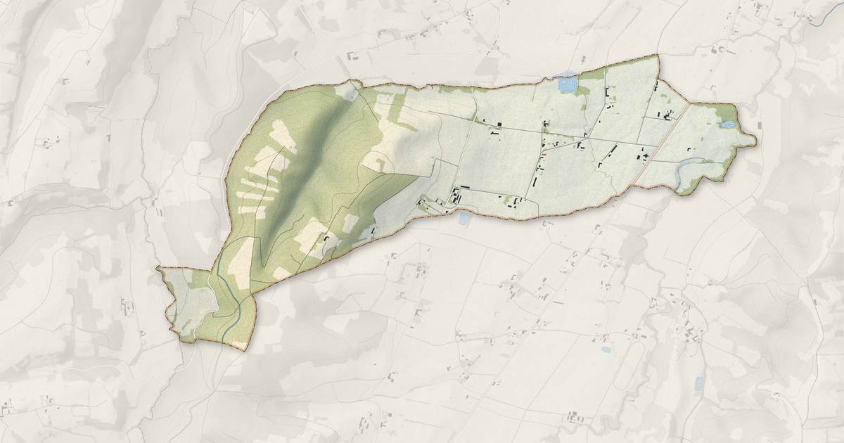 Portrait cartographique de Laran : relief, eau, forêts, bâti et voies, calculés à partir des données de l'IGN