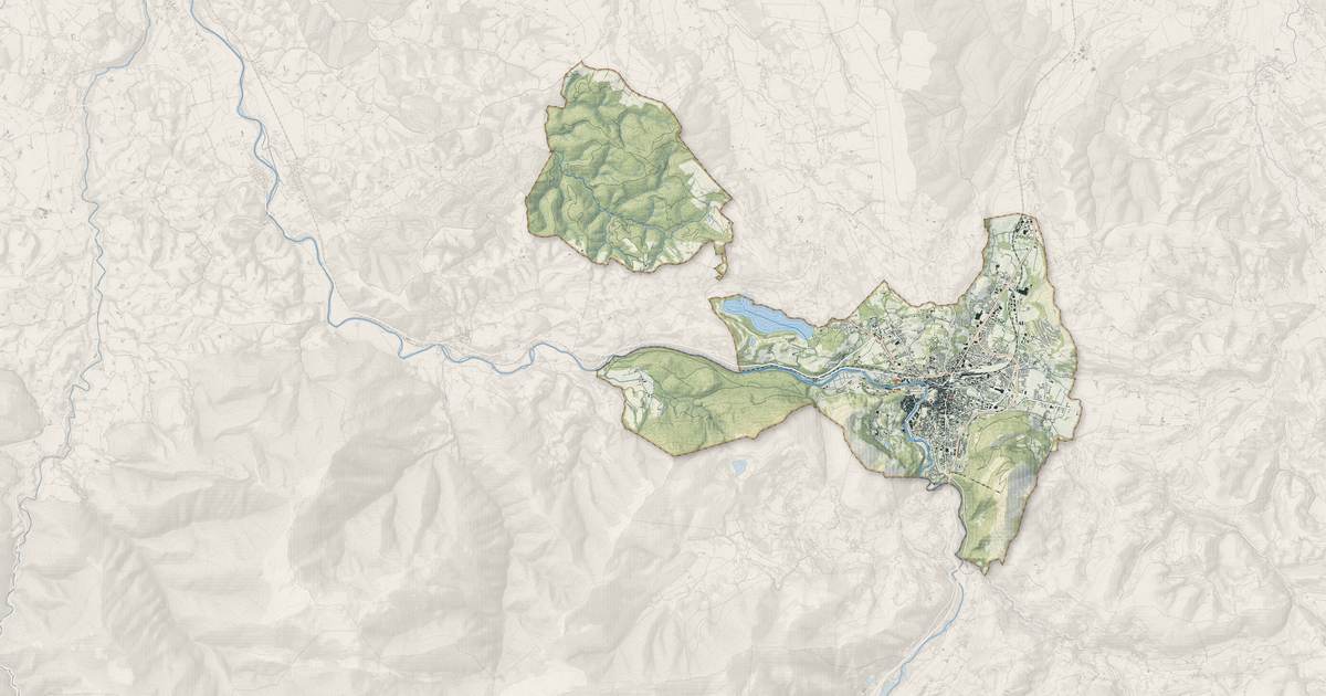 Portrait cartographique de Lourdes : relief, eau, forêts, bâti et voies, calculés à partir des données de l'IGN