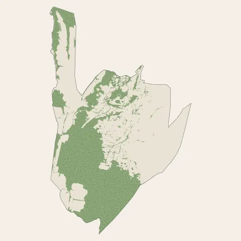 Ossun : bois, forêts et landes