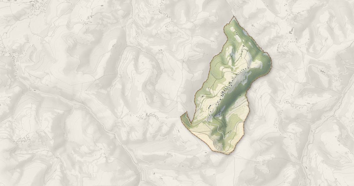 Portrait cartographique de Ossun-ez-Angles : relief, eau, forêts, bâti et voies, calculés à partir des données de l'IGN