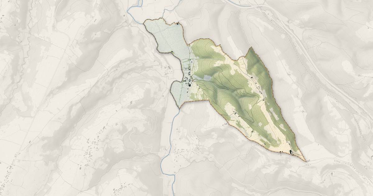 Portrait cartographique de Ricaud : relief, eau, forêts, bâti et voies, calculés à partir des données de l'IGN