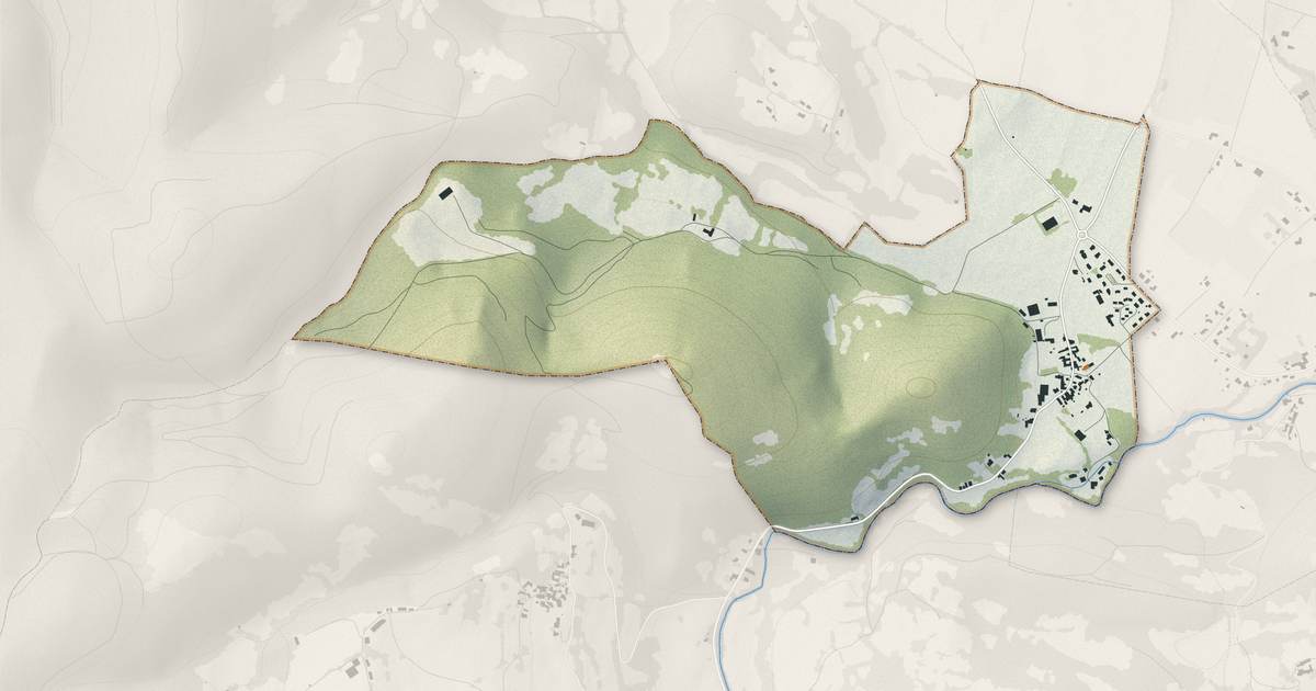 Portrait cartographique de Sarp : relief, eau, forêts, bâti et voies, calculés à partir des données de l'IGN