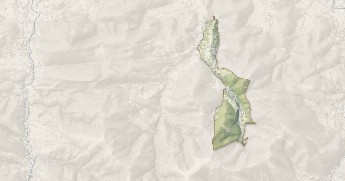 Portrait cartographique de Seich : relief, eau, forêts, bâti et voies, calculés à partir des données de l'IGN