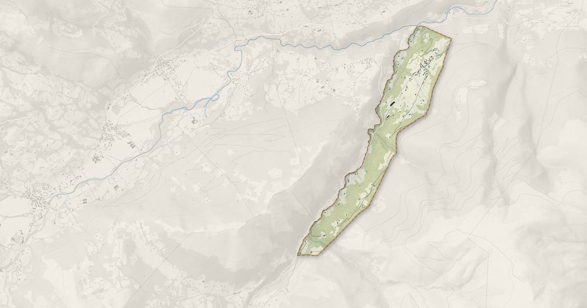 Portrait cartographique de Sireix : relief, eau, forêts, bâti et voies, calculés à partir des données de l'IGN