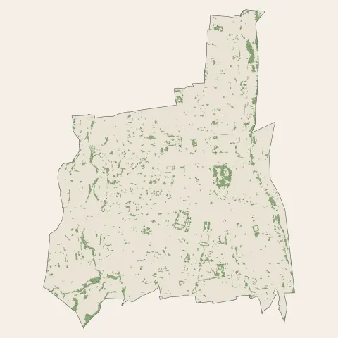 Tarbes : bois, forêts et landes