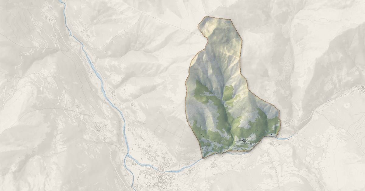 Portrait cartographique de Viey : relief, eau, forêts, bâti et voies, calculés à partir des données de l'IGN