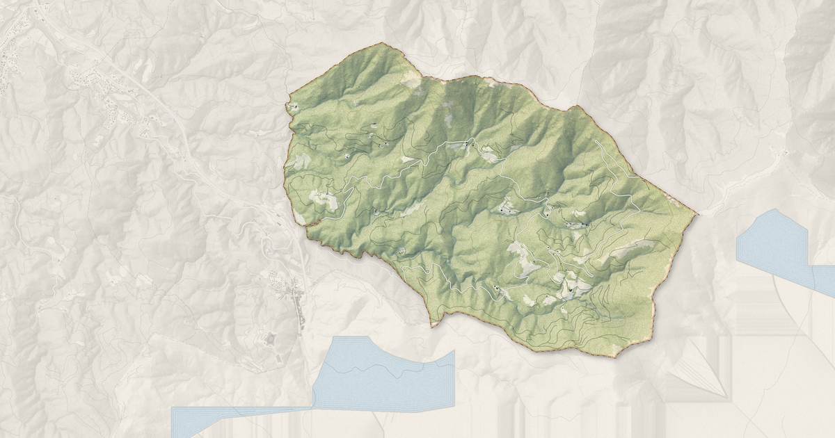 Portrait cartographique de L'Albère : relief, eau, forêts, bâti et voies, calculés à partir des données de l'IGN