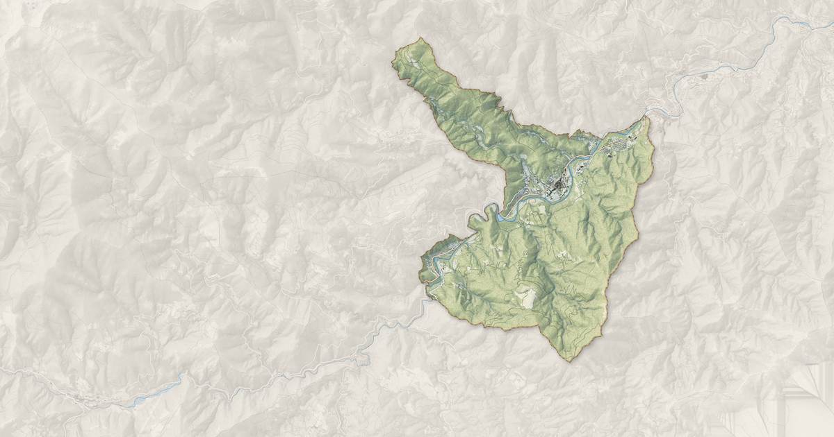 Portrait cartographique de Arles-sur-Tech : relief, eau, forêts, bâti et voies, calculés à partir des données de l'IGN