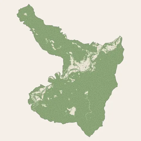 Arles-sur-Tech : bois, forêts et landes