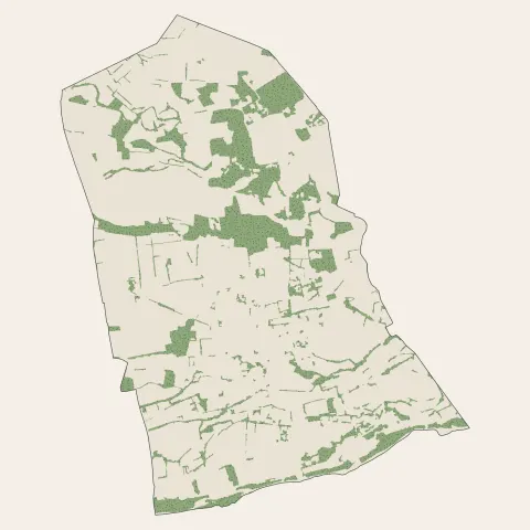 Baho : bois, forêts et landes