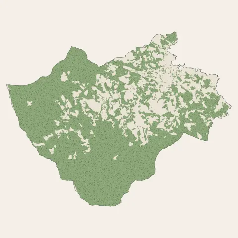 Banyuls-sur-Mer : bois, forêts et landes