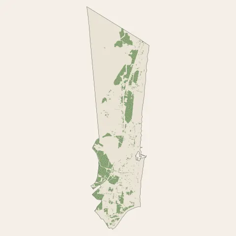 Le Barcarès : bois, forêts et landes