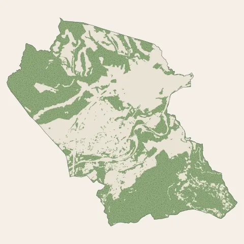 Le Boulou : bois, forêts et landes