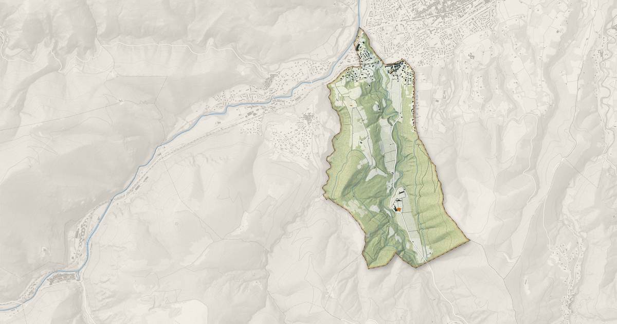 Portrait cartographique de Codalet : relief, eau, forêts, bâti et voies, calculés à partir des données de l'IGN