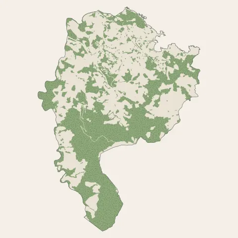 Collioure : bois, forêts et landes