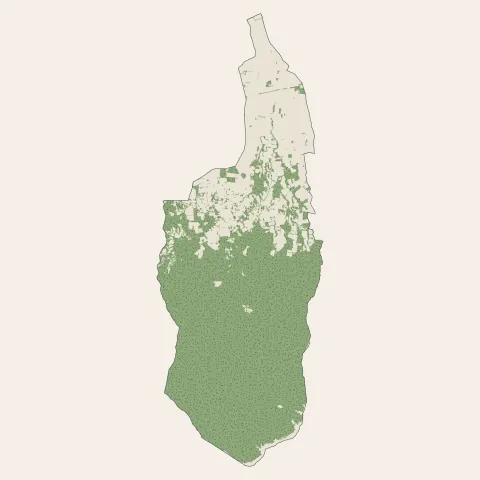 Laroque-des-Albères : bois, forêts et landes