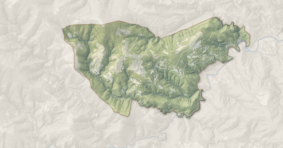 Portrait cartographique de Montferrer : relief, eau, forêts, bâti et voies, calculés à partir des données de l'IGN